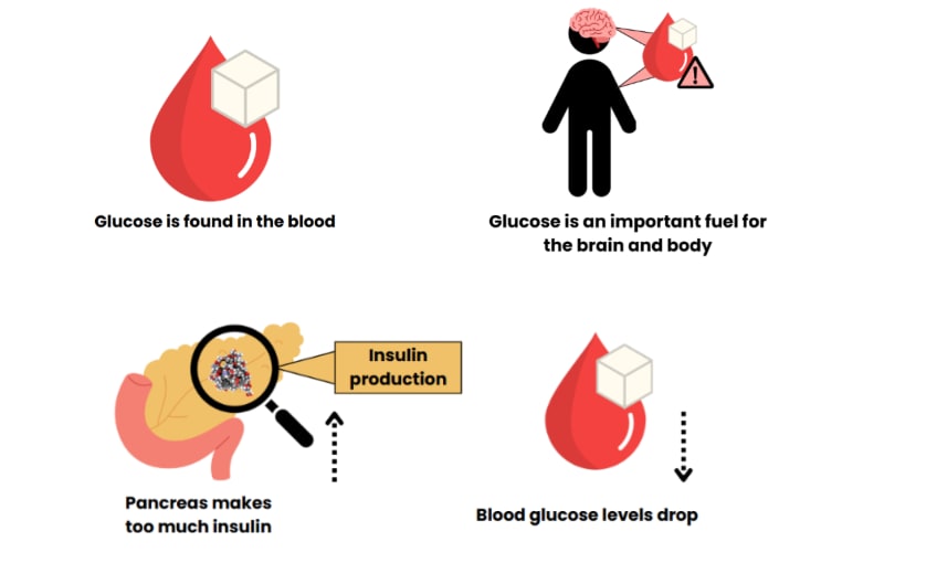 Guidelines and info about Glucose for hyperinsulinism