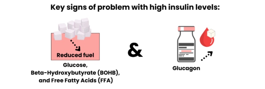 high insulinism problems