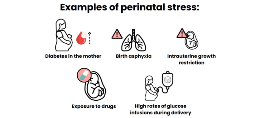 perinatal stress