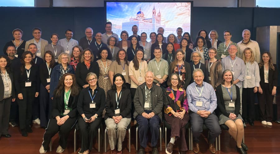 Collaborative Research Network group in Spain